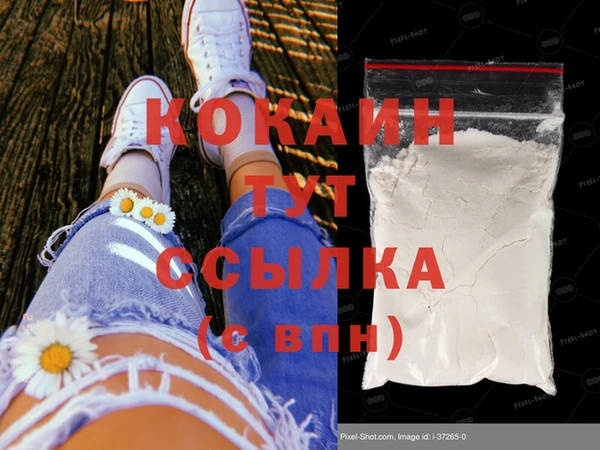 эйфоретик Карпинск