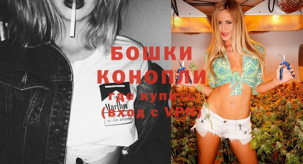 амф Сосновый Бор