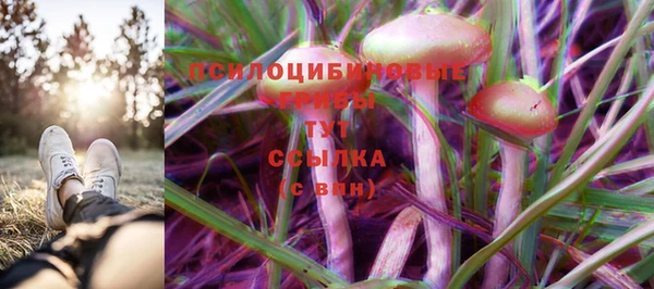 эйфоретик Карпинск